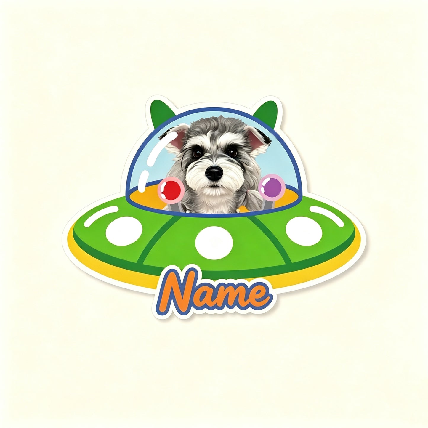 Custom Pet Rug – Spaceship