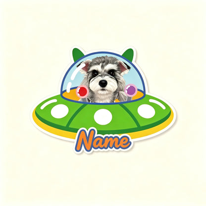Custom Pet Rug – Spaceship