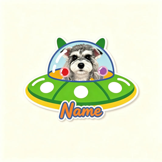 Custom Pet Rug – Spaceship
