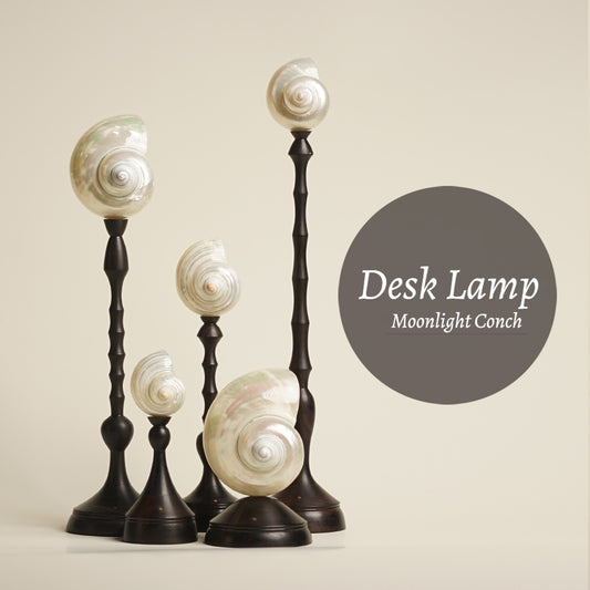 Conch Table Lamp